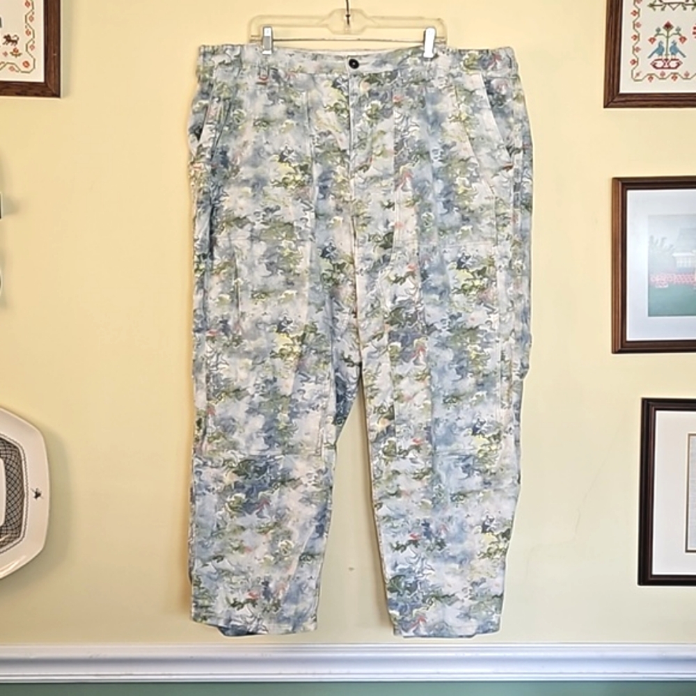 Anthropologie Pants 24W